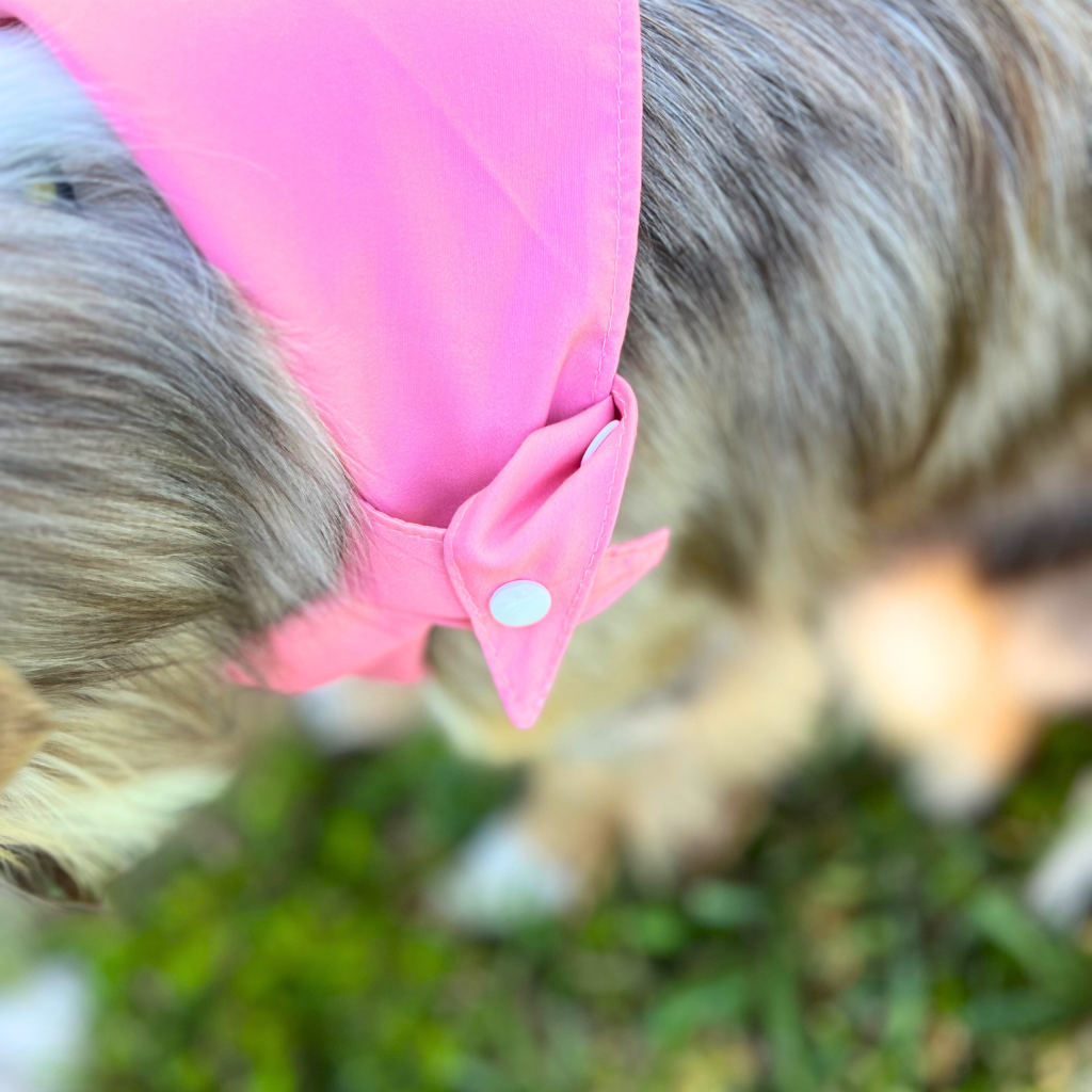 Dog wearing a pink bandana tied with a bow, standing outdoors.