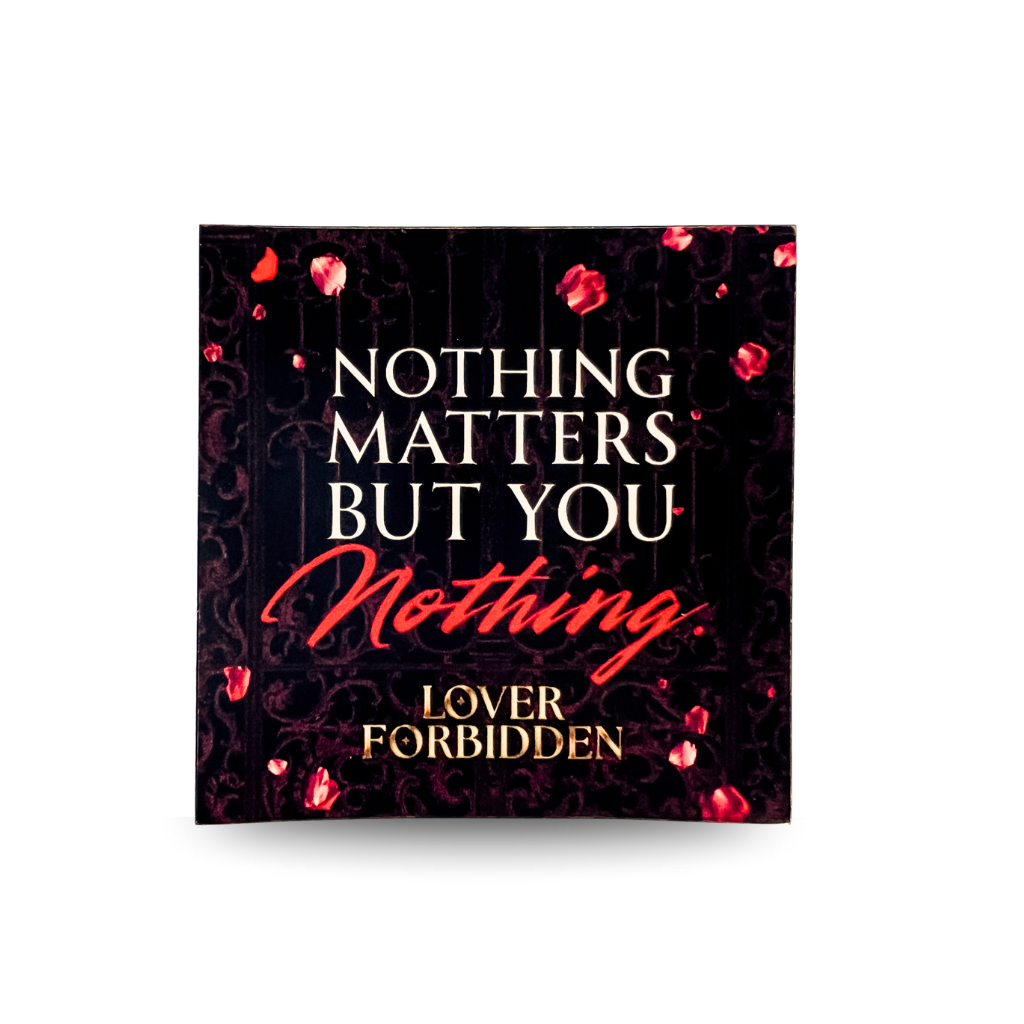 Book cover with text 'Nothing Matters But You Nothing' and decorative elements on a dark background